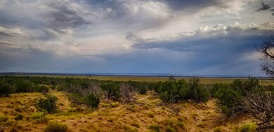 20200821_173634-HDR