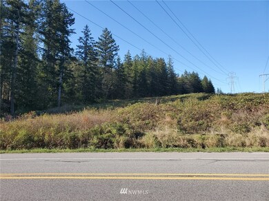0 Center Rd unit 1674675, Quilcene, WA 98376 - photo 4