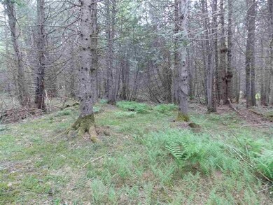 1815 Sheffield Rd, Sutton, VT 05867 - photo 6