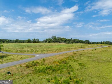 0 Cobbham Rd unit 10601586, Thomson, GA 30824 - photo 5