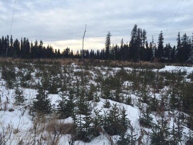 L6 Vince Rd, Anchor Point, AK 99556 - photo 4