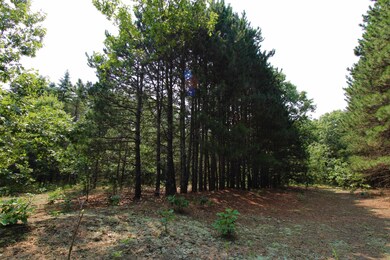 10 Acres 3rd, Coloma, WI 54930 - photo 4