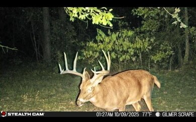 TBD Stag Rd, Gilmer, TX 75644 - photo 4