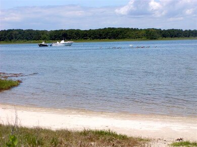 3 Moffett Way, Edgartown, MA 02539 - photo 3