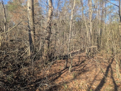 0 Hurricane Rd S unit 129268, Rocky Face, GA 30740 - photo 4