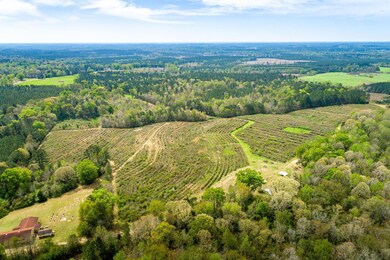 Drone View