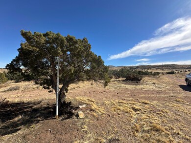 0 Vic Ranchero Rd Blackber unit 25001553, Palmdale, CA 93550 - photo 5