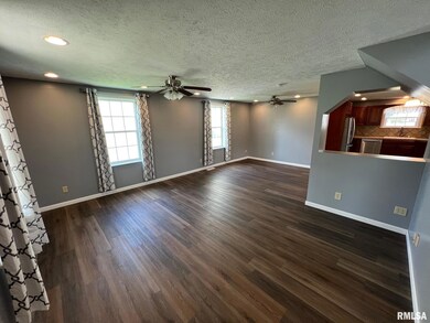 619 N Hamilton St, Lincoln, IL 62656 - photo 3