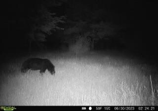 8321 Dragonfly Rd, Warrens, WI 54666 - photo 6