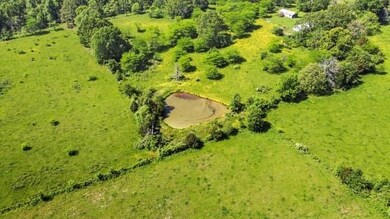 000 M Hwy, Koshkonong, MO 65692 - photo 5