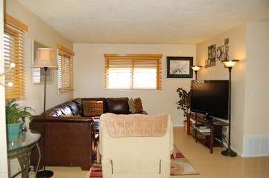 Spacious Living Area
