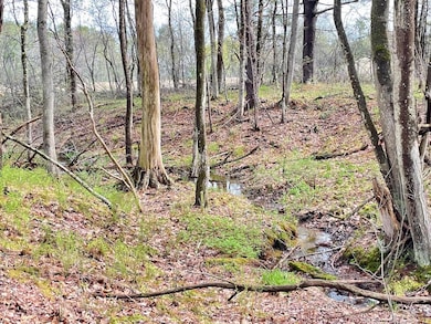 90 Harris Lot 1 Rd, Cumberland, ME 04021 - photo 7