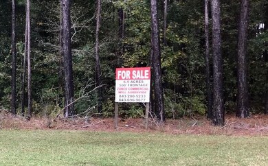 Hwy 17 -Front pic of sign