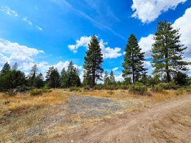 0 Swan Dr unit 16 & 17 220209213, Bonanza, OR 97623 - photo 5