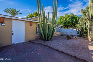 Saguaro-10