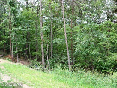 345 Independence Ln, New Market, VA 22844 - photo 5