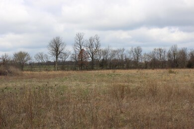 IMG_9730.JPG