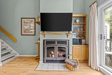 114 S Main St unit F5, Stowe, VT 05672 - photo 7