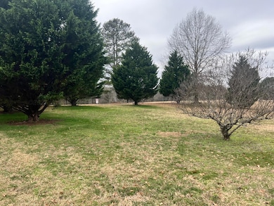front yard
