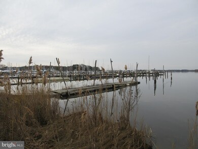 20964 Rock Hall Ave, Rock Hall, MD 21661 - photo 6