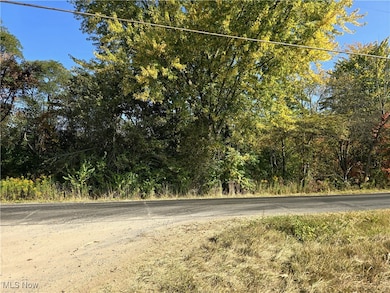 10745 Leffingwell Rd, North Benton, OH 44449 - photo 5