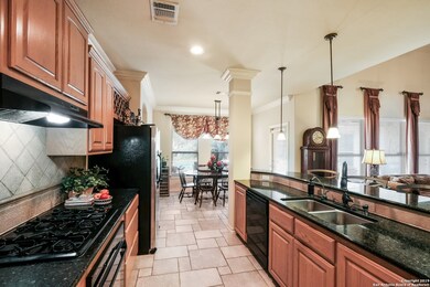 3226 Roan Way, San Antonio, TX 78259 - photo 5