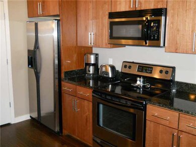 Granite countertops, smooth surface cooktop and st
