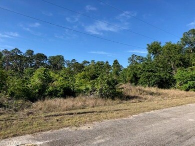 2508 Mabry St, Alva, FL 33920 - photo 5