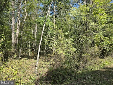 0 Poor House Rd unit VAMA2002480, Madison, VA 22727 - photo 2