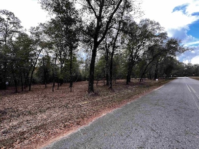 XX McCall Bridge Rd, Lake Talquin, FL 32351 - photo 2