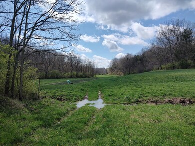 IMG_20250410_133519003_HDR