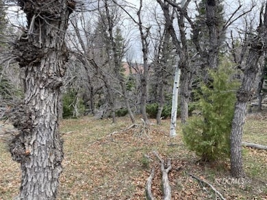 Good future cabin site