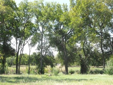 Back yard of the lot