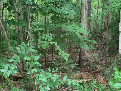 0 Anderson Way Dr, Minetto, NY 13069 - photo 2