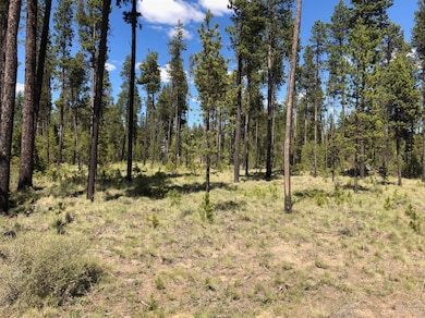 16972 Upland Rd, Bend, OR 97707 - photo 3