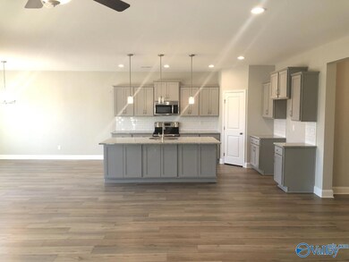 3025 Henry Rd SE, Decatur, AL 35603 - photo 5