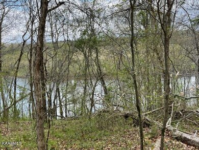 IMG_6712
