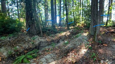 8213 159th Ave SW, Longbranch, WA 98351 - photo 4