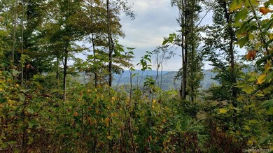 000 Briar Ridge Rd, Ramseytown, NC 28714 - photo 7