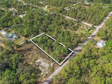 2017 Grant Ave, Alva, FL 33920 - photo 3