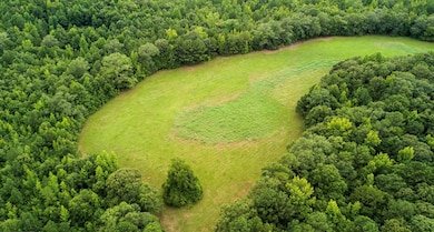 0 N Butts Mill Rd unit 222273, Pine Mountain, GA 31822 - photo 3