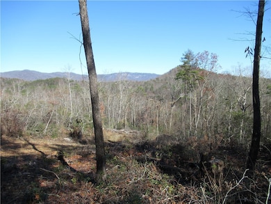 Tracts 34, 35, 36 Curts Way, Cleveland, SC 29635 - photo 7