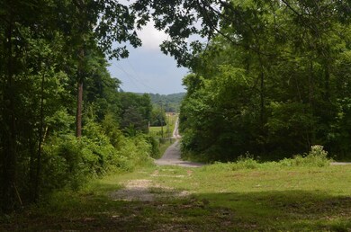 1848 Sparta Pike, Lebanon, TN 37090 - photo 4