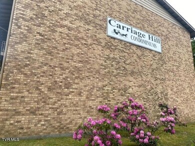 Carriage hills building signage