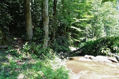 14 Long Branch Rd unit 14, Pisgah Forest, NC 28768 - photo 2