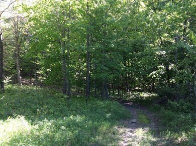 9198 W Grant St, Beaver Township, MI 49309 - photo 7