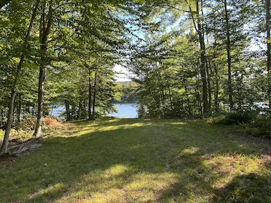 1028 Goodnow Flow Rd, Newcomb, NY 12852 - photo 4