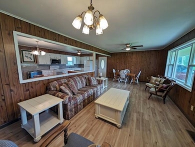 living room  (1)