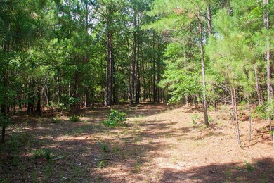 Springhill C_05