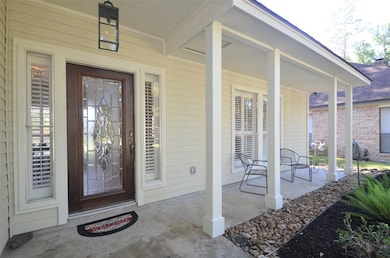 11723 Park Creek Dr, Houston, TX 77070 - photo 5